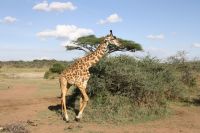 IMG 3120 &ndash; &copy; Philip Seidel (Eberhardt TRAVEL)