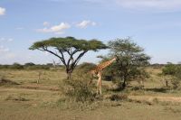 IMG 3125 &ndash; &copy; Philip Seidel (Eberhardt TRAVEL)