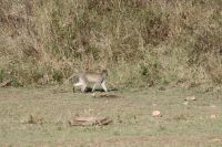 IMG 3129 &ndash; &copy; Philip Seidel (Eberhardt TRAVEL)