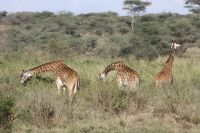 IMG 3136 &ndash; &copy; Philip Seidel (Eberhardt TRAVEL)