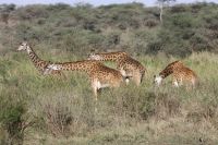 IMG 3140 &ndash; &copy; Philip Seidel (Eberhardt TRAVEL)