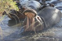 IMG 3150 &ndash; &copy; Philip Seidel (Eberhardt TRAVEL)