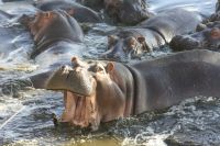 IMG 3159 &ndash; &copy; Philip Seidel (Eberhardt TRAVEL)
