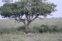IMG 3217 &ndash; &copy; Philip Seidel (Eberhardt TRAVEL)