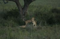 IMG 3226 &ndash; &copy; Philip Seidel (Eberhardt TRAVEL)