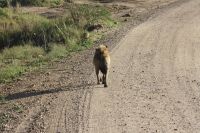 IMG 3232 &ndash; &copy; Philip Seidel (Eberhardt TRAVEL)