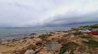 Rundreise Südafrika - Rundfahrt in Port Elisabeth &ndash; &copy; Franziska Bergmann (Eberhardt TRAVEL)