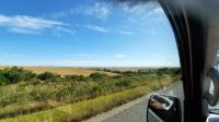 Rundreise Südafrika - unterwegs nach Kapstadt &ndash; &copy; Franziska Bergmann (Eberhardt TRAVEL)