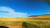 Rundreise Südafrika - unterwegs nach Kapstadt &ndash; &copy; Franziska Bergmann (Eberhardt TRAVEL)