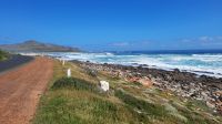 Rundreise Südafrika - Kap-Nationalpark &ndash; &copy; Franziska Bergmann (Eberhardt TRAVEL)