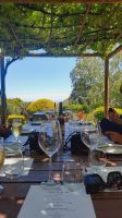 Rundreise Südafrika - Verkostung im Weingut Delheim &ndash; &copy; Franziska Bergmann (Eberhardt TRAVEL)