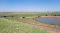 Rundreise Südafrika - Pause mit Tierbeobachtungen &ndash; &copy; Franziska Bergmann (Eberhardt TRAVEL)