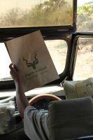 Rundreise Südafrika - Krüger-Nationalpark &ndash; &copy; Franziska Bergmann (Eberhardt TRAVEL)