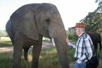 Knysna Elephant Park &ndash; &copy; Annett Müller (Eberhardt TRAVEL)
