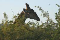 IMG_0162 &ndash; &copy; Annett Müller (Eberhardt TRAVEL)