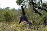 IMG_0515 &ndash; &copy; Annett Müller (Eberhardt TRAVEL)