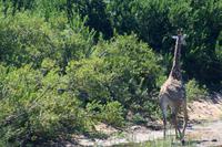 IMG_0524 &ndash; &copy; Annett Müller (Eberhardt TRAVEL)