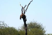 IMG_0532 &ndash; &copy; Annett Müller (Eberhardt TRAVEL)