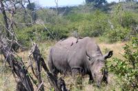 IMG_0618 &ndash; &copy; Annett Müller (Eberhardt TRAVEL)