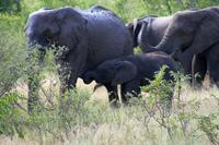 IMG_0654 &ndash; &copy; Annett Müller (Eberhardt TRAVEL)