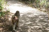 IMG_0878 &ndash; &copy; Annett Müller (Eberhardt TRAVEL)