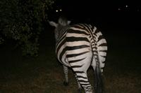 IMG_0930 &ndash; &copy; Annett Müller (Eberhardt TRAVEL)