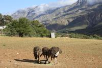 &copy; Isabel Braksiek (Eberhardt TRAVEL)
