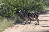 &copy; Isabel Braksiek (Eberhardt TRAVEL)