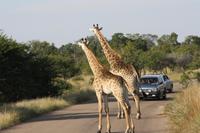 &copy; Isabel Braksiek (Eberhardt TRAVEL)