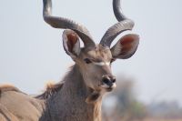 165 Bwabwata NP &ndash; &copy; Susanne Schirmann (Eberhardt TRAVEL)