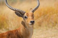 169 Bwabwata NP &ndash; &copy; Susanne Schirmann (Eberhardt TRAVEL)