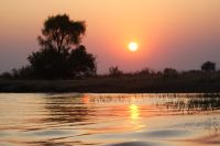 188 Elefantenherde am Kwando &ndash; &copy; Susanne Schirmann (Eberhardt TRAVEL)