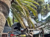 Joes Beerhouse &ndash; &copy; Sinah Witzig (Eberhardt TRAVEL)