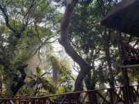 Chobe Marina Lodge &ndash; &copy; Sinah Witzig (Eberhardt TRAVEL)