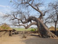 Namushasha Cultural Village &ndash; &copy; Sinah Witzig (Eberhardt TRAVEL)