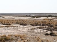 Etosha Nationalpark &ndash; &copy; Sinah Witzig (Eberhardt TRAVEL)