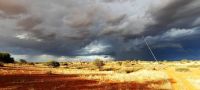 00012 Namibia - Kalahari - Nature Drive &ndash; &copy; Annett Müller (Eberhardt TRAVEL)