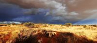 00015 Namibia - Kalahari - Nature Drive &ndash; &copy; Annett Müller (Eberhardt TRAVEL)