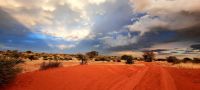 00022 Namibia - Kalahari - Nature Drive &ndash; &copy; Annett Müller (Eberhardt TRAVEL)
