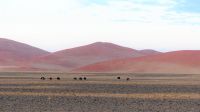00114 Namibia - Namibwüste - Postkartenmotiv &ndash; &copy; Annett Müller (Eberhardt TRAVEL)