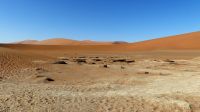 00133 Namibia - Namibwüste &ndash; &copy; Annett Müller (Eberhardt TRAVEL)