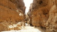 00137 Namibia - im Sesriem Canyon &ndash; &copy; Annett Müller (Eberhardt TRAVEL)