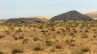 00147 Namibia - Unterwegs zum Atlantik &ndash; &copy; Annett Müller (Eberhardt TRAVEL)