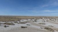 Namibia - Unterwegs im Etosha &ndash; &copy; Annett Müller (Eberhardt TRAVEL)