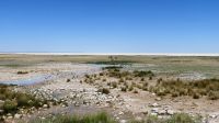 Namibia - Unterwegs im Etosha  &ndash; &copy; Annett Müller (Eberhardt TRAVEL)