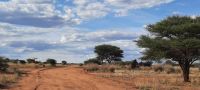 Namibia - Otjiwa Safari Lodge - Farm &ndash; &copy; Annett Müller (Eberhardt TRAVEL)