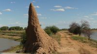 Namibia - Otjiwa Safari Lodge - Termitenhügel &ndash; &copy; Annett Müller (Eberhardt TRAVEL)