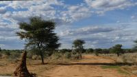 Namibia - Otjiwa Safari Lodge - Farm &ndash; &copy; Annett Müller (Eberhardt TRAVEL)