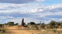Namibia - Otjiwa Safari Lodge - Farm &ndash; &copy; Annett Müller (Eberhardt TRAVEL)