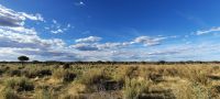 Namibia - Otjiwa Safari Lodge - Nature Drive &ndash; &copy; Annett Müller (Eberhardt TRAVEL)